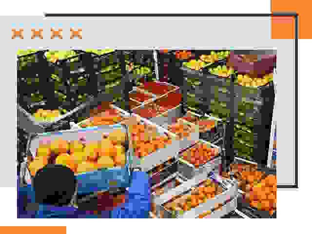 Перевозка скоропортящихся продуктов в дзержинском